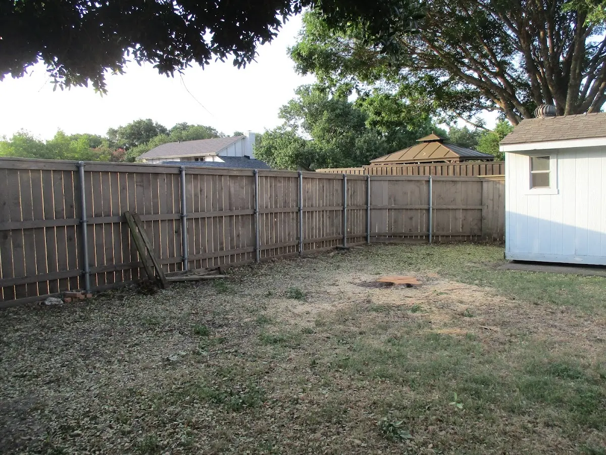 Cleared yard after professional tree removal in Cairo